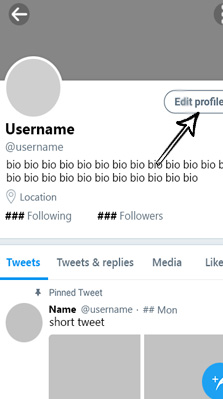 How to Change Profile Pic on Twitter Mobile