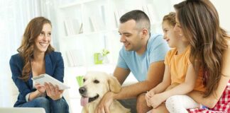 How to Become a Pet Insurance Adjuster