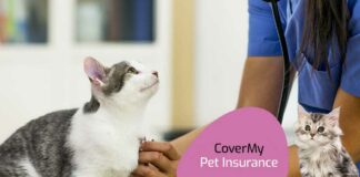 Top 10 Cat Insurance in USA